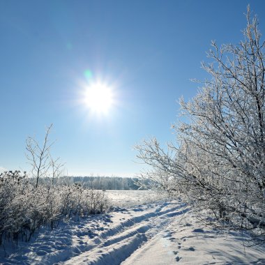 Kış kırsal görünümü