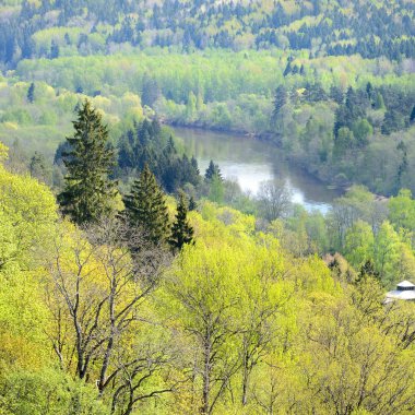 sigulda, Letonya ilkbaharda gauja vadisinde alansal görünümü