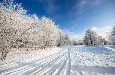 yol ve hoar-frost ağaçları kış
