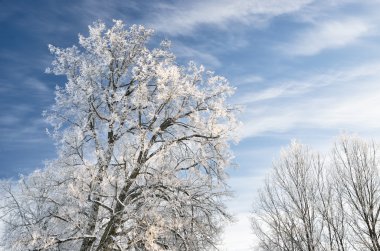 Kış countyside görünümü