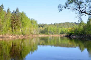 bahar sabahı sigulda, lativa, gauja Nehri