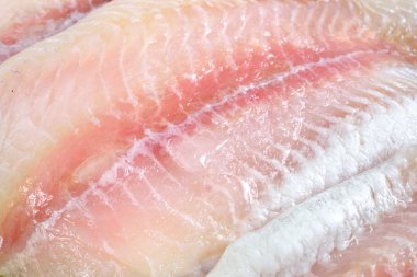 Pangasius hypophthalmus yanardöner köpekbalığı