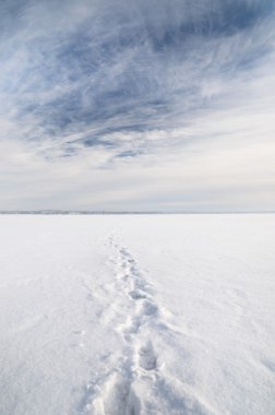 buz çöl kış manzarası