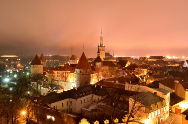 Tallinn şehir. Estonya. Kış panoram görünümü