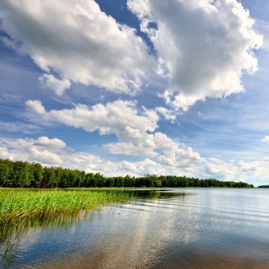 Lake Forest yansıması ile