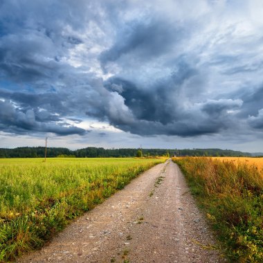yeşil alan ve yol fırtınalı gökyüzü