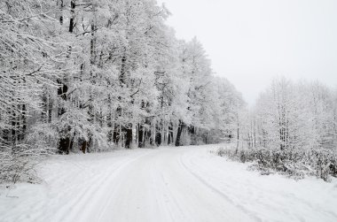 Kış sahne: yol ve orman hoar-frost ağaçları ile