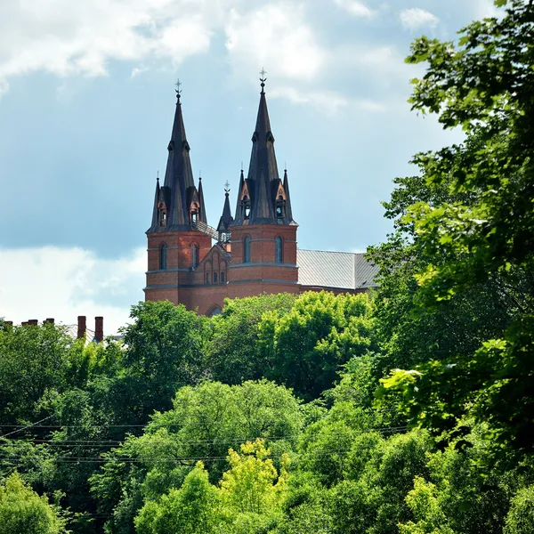 Katholische Kirche in Rezekne, Lettland — Stockfoto