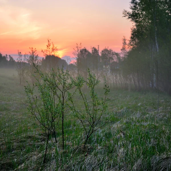 Paysage rural classique contre le lever du soleil dramatique — Photo