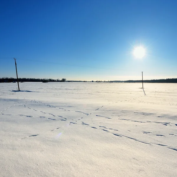 Vintern landsbygden Visa — Stockfoto
