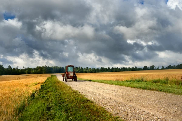 Трактор на дороге и зерновое поле против темных грозовых облаков — стоковое фото