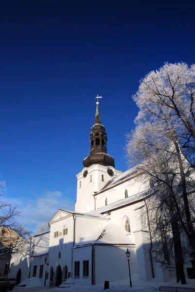 Tallin parte de la ciudad vieja en invierno. Países Bajos —  Fotos de Stock