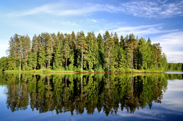 Jezero v lese s odleskem — Stock fotografie