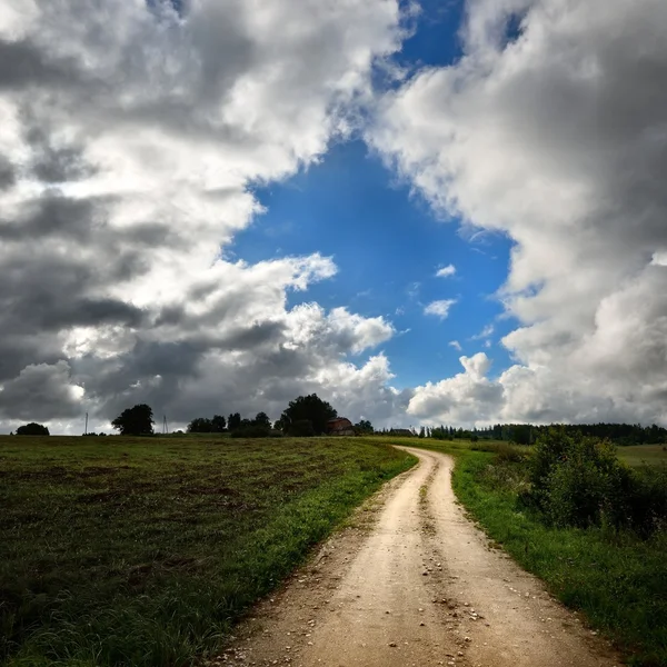 Campo verde y el camino contra el cielo tormentoso — Foto de Stock
