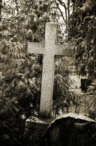 Kreuz im Nebel auf dem Friedhof — Stockfoto