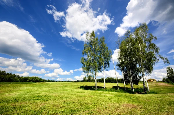 Paisaje rural clásico. Campo verde contra cielo azul —  Fotos de Stock