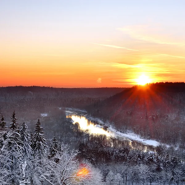 Údolí řeky Gauja v sigulda, Lotyšsko. západ slunce v zimě — Stock fotografie