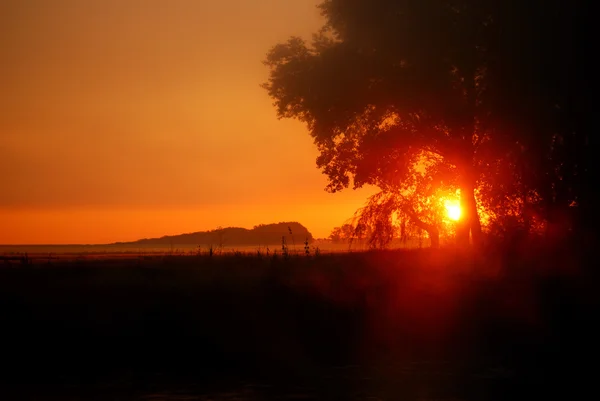 Silhouette d'arbre sur le terrain contre le lever de soleil rouge coloré dans le brouillard — Photo