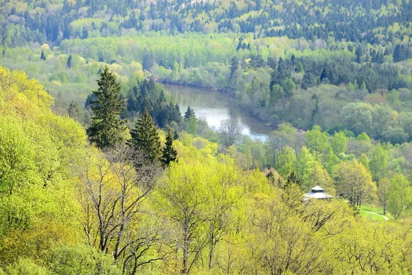 Areal view on Gauja river valley in spring in Sigulda, Latvia — Stock Photo, Image