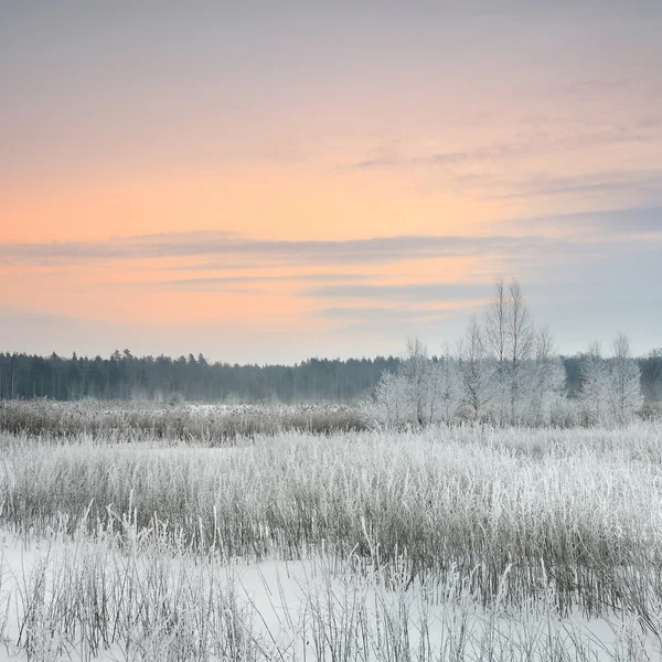 Kış manzarası ile hoar-frost gündoğumu — Stok fotoğraf