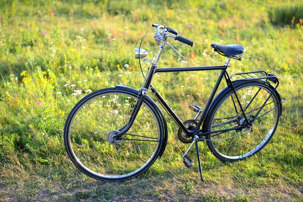 Старый голландский ретро-велосипед на поле цветов — стоковое фото