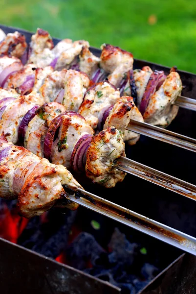Gegrilde Kaukasus barbecue close-up — Stockfoto