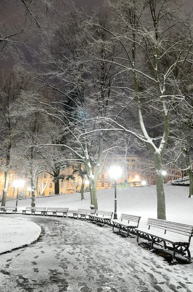 Snow on trees in Riga park by night — Stock Photo, Image