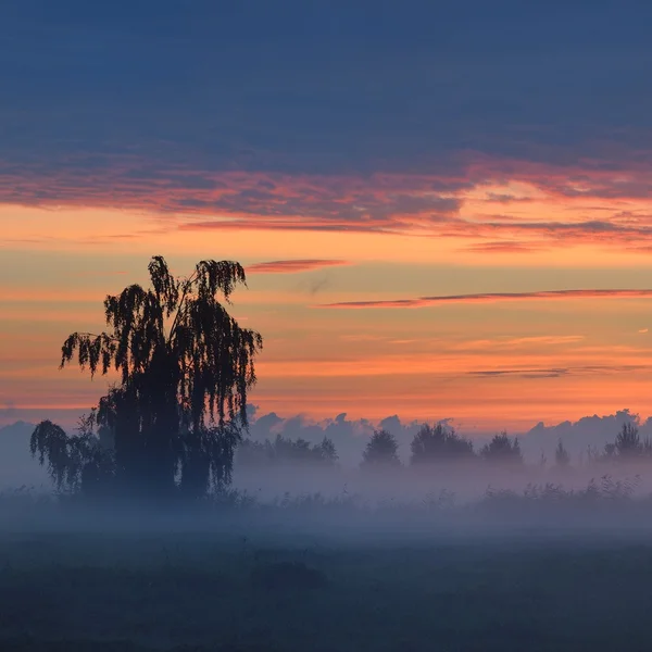 Colorido amanecer en el campo con niebla matutina — Foto de Stock