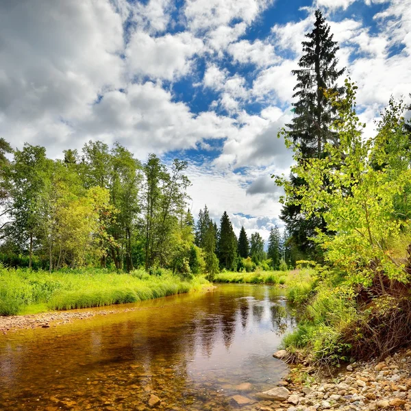 Paysage fluvial forestier contre ciel et nuages — Photo