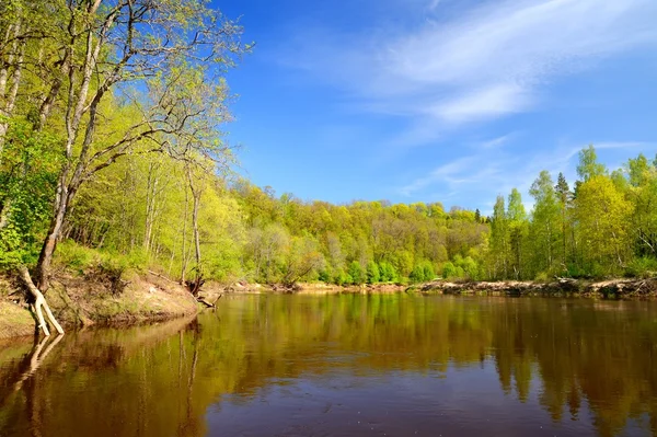 Bahar sabahı sigulda, lativa, gauja Nehri — Stok fotoğraf