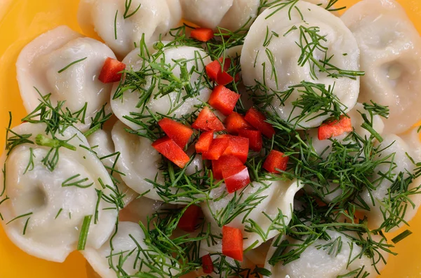 Dumplings sur le plat — Photo