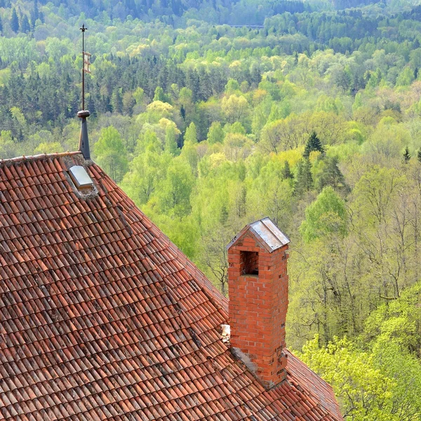 Areal view on Turaida castle and Gauja river valley in spring in Sigulda, Latvia — Stock Photo, Image
