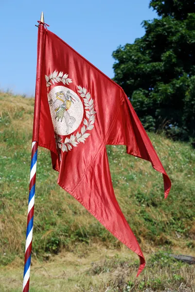 Medieval knight banner in the field — Stock Photo, Image