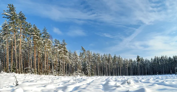 Schneebedeckte sonnige Winterlandschaft — Stockfoto