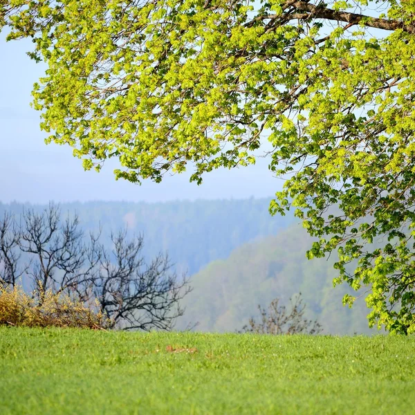 View on Gauja valley in spring in Sigulda, Latvia — Stock Photo, Image