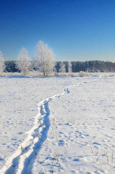 Zimní krajina zobrazení — Stock fotografie