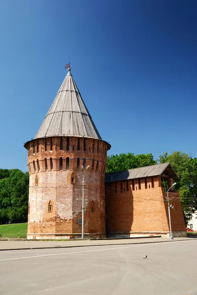 Slav Ortaçağ Kulesi — Stok fotoğraf