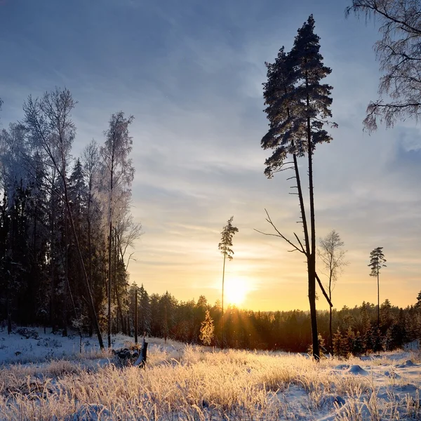 Zimní krajinou zobrazení — Stock fotografie