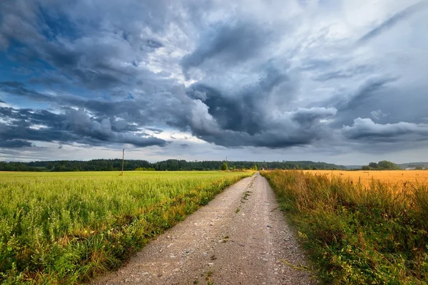 Campo verde e la strada contro il cielo tempestoso — Foto Stock