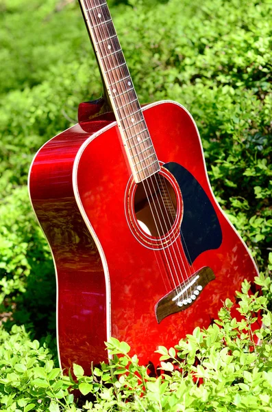 Akustik-Gitarre im Gras im Wald — Stockfoto