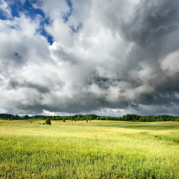 Green field against dark stormy clouds — Stock Photo, Image