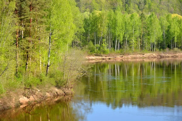 Gauja river in spring morning in Sigulda, Lativa — Stock Photo, Image
