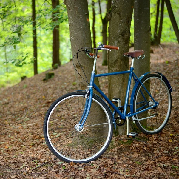 Velha bicicleta azul vintage na floresta — Fotografia de Stock