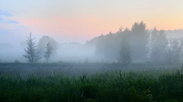 Brouillard matinal au-dessus du champ en zone rurale — Photo