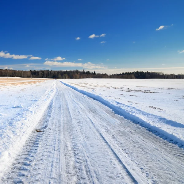 Класична зимова сцена дороги в сільській місцевості — стокове фото