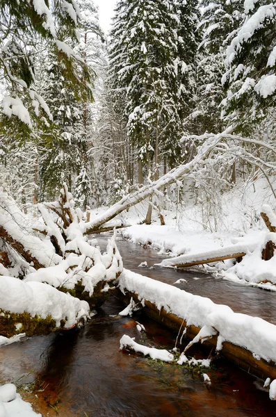 Winter river valley manzara — Stok fotoğraf