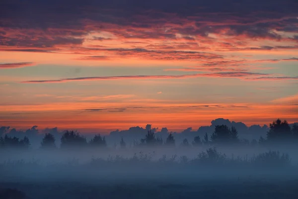 Colorido amanecer en el campo con niebla matutina — Foto de Stock