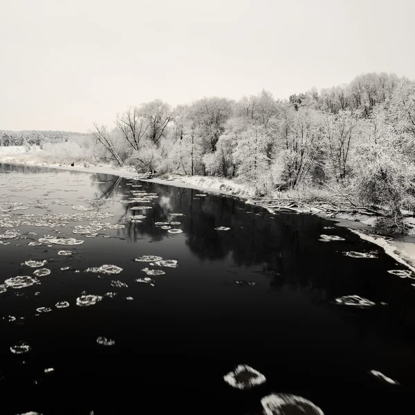 Rivière d'hiver et gelée blanche sur les arbres — Photo