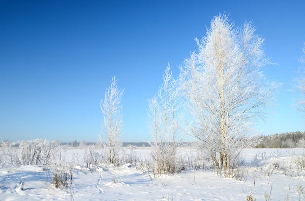 Vista sulla campagna invernale — Foto Stock