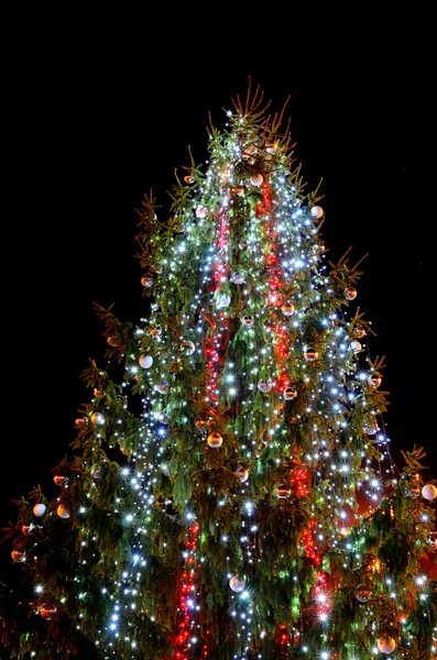 Natal árvore de pinho decorado contra fundo preto — Fotografia de Stock